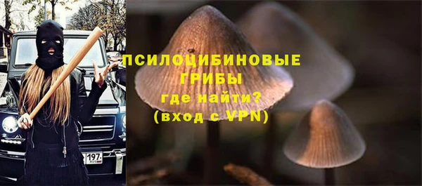 стафф Баксан