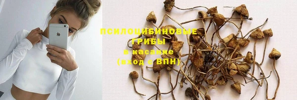 хмурый Балабаново