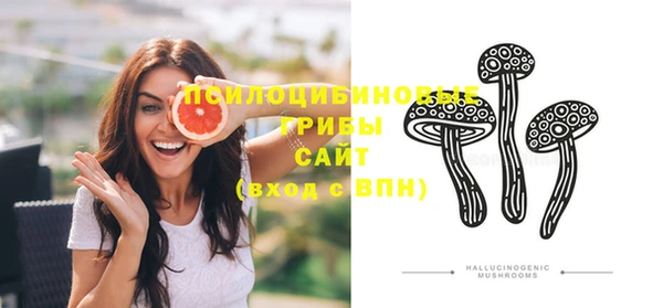 стафф Баксан