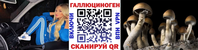 купить закладку Верея Галлюциногенные грибы мицелий