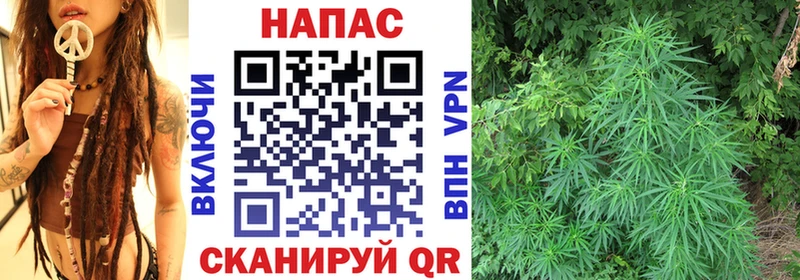 Марихуана конопля  мориарти клад  Верея 